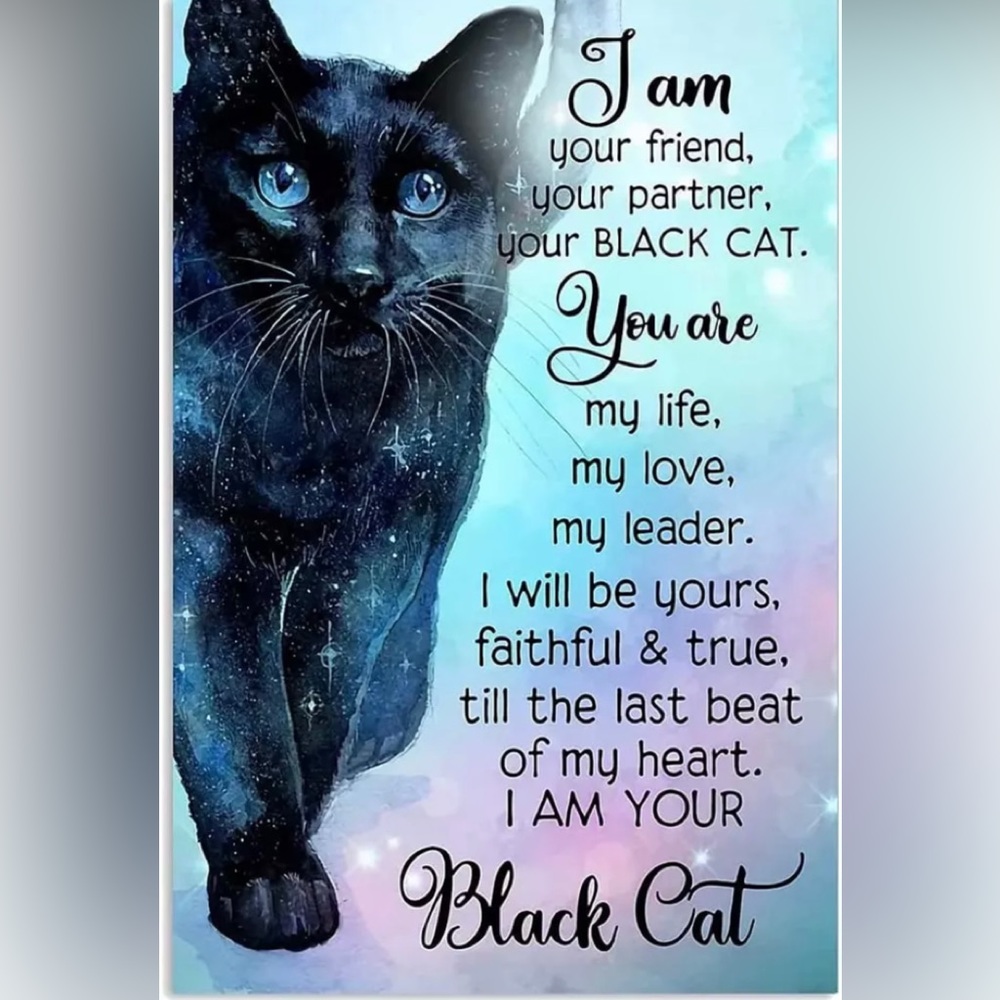 Black Cat Tin Art Sign